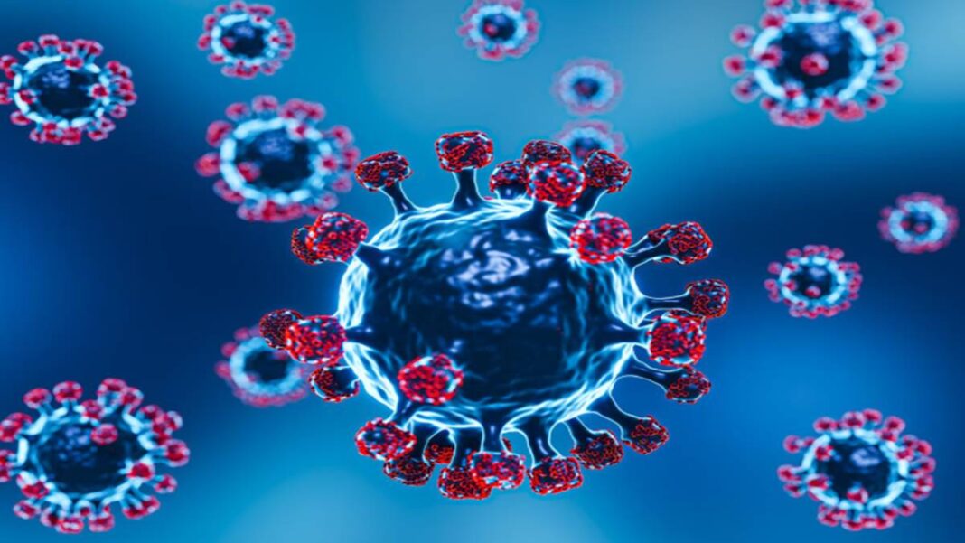 Mumbai records 24 COVID cases and no fresh deaths