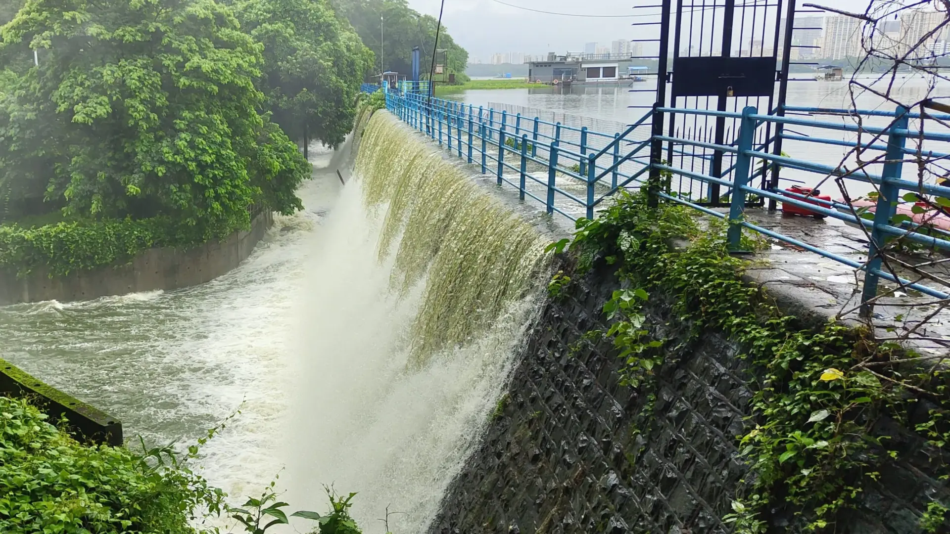 Mumbai's Powai Lake Overflows After Intense Monsoon Rains