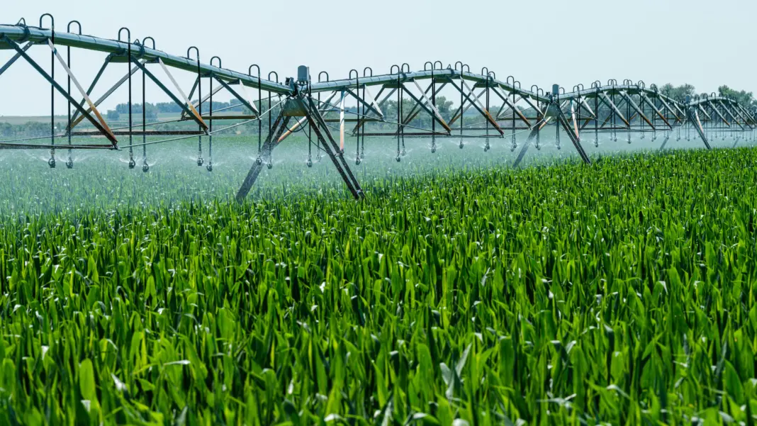 Global Food-Water Security Strengthened by Asia and Middle East Innovations