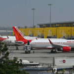 Pune Bird Strike Halts Air India Service