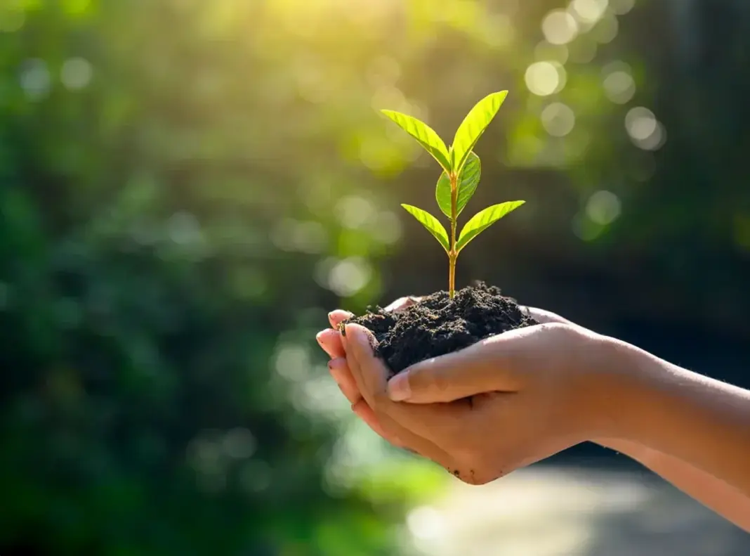 Hyderabad GHMC Launches Massive Tree Plantation Drive For Greener City