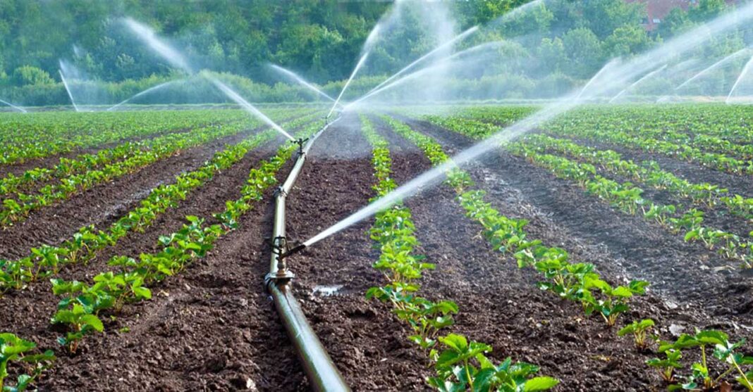 India teams with FAO to improve irrigation in water-stressed farms.