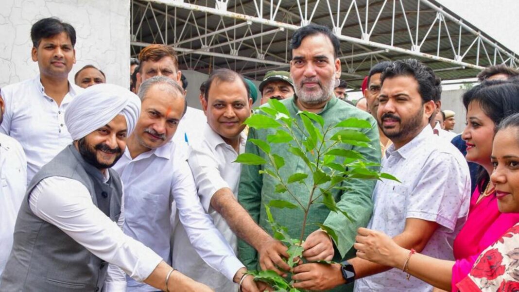 Delhi to Hold Month Long Van Mahotsav in July