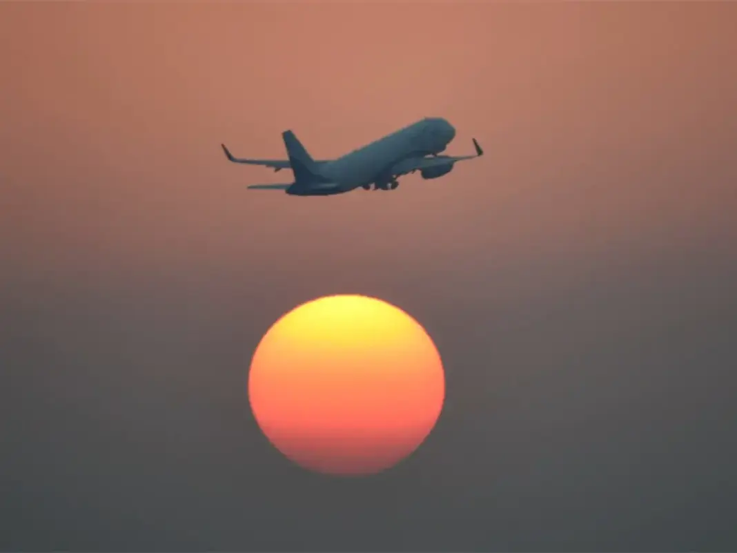 Mumbai Invites Startups to Tackle Aircraft Bird Risk