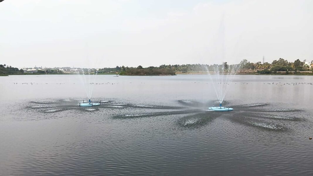 Bengaluru River Project to Revive Arkavathi