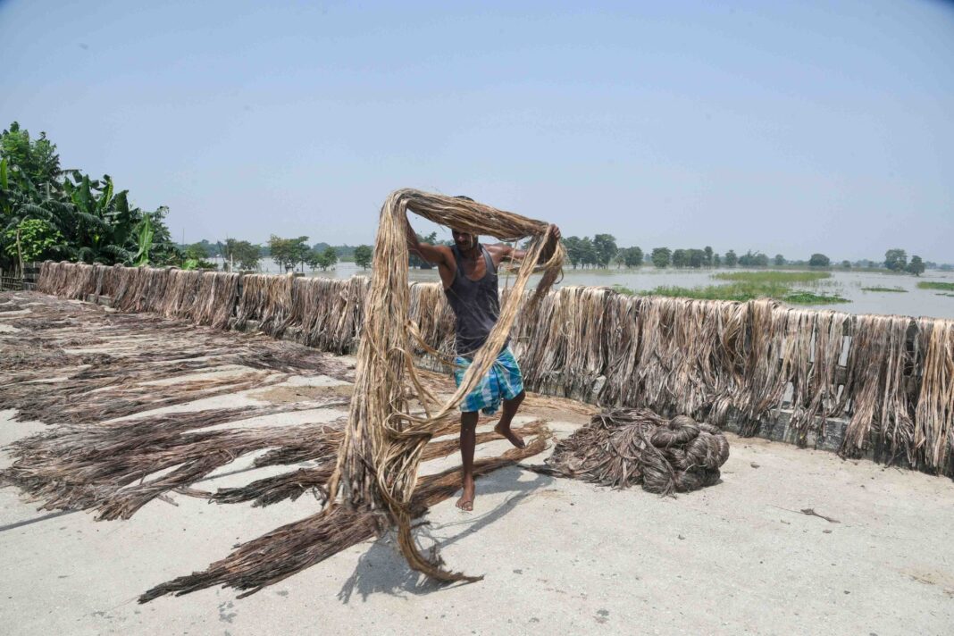 India Bans Jute Imports to Protect Rural Jobs and Local Manufacturing Economy