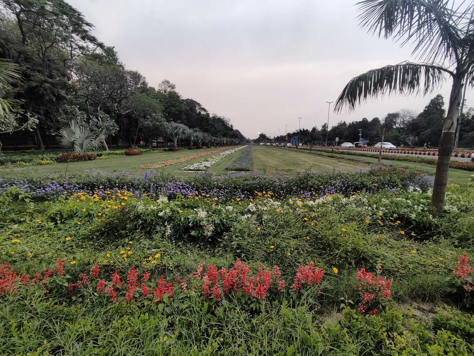 Delhi’s Nehru Park May Soon Become a Pollution-Free Zone
