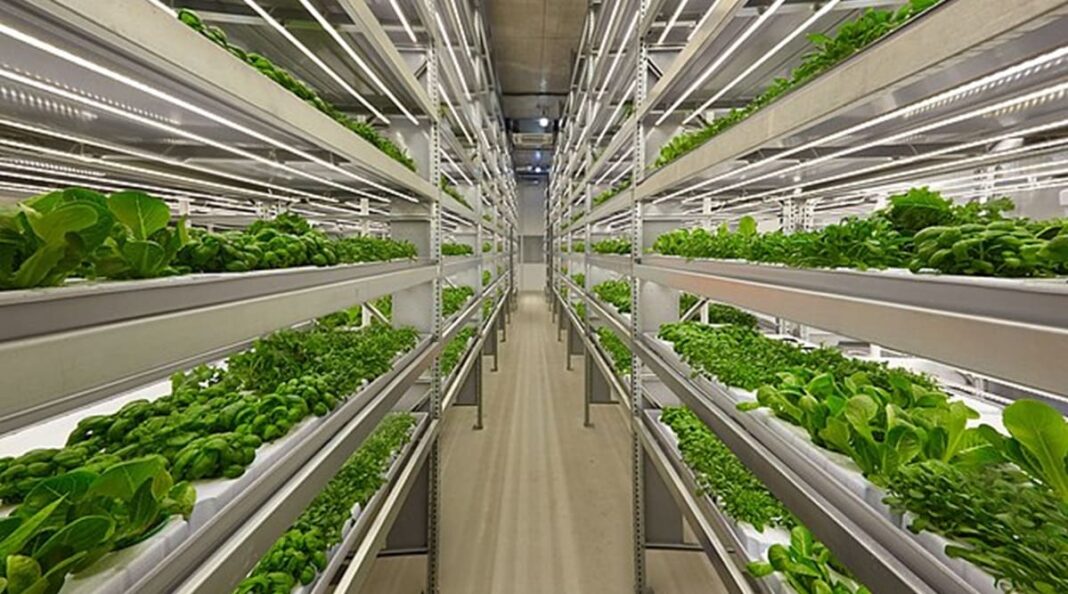 Urban Farming Market to Hit 35 Billion by 2032