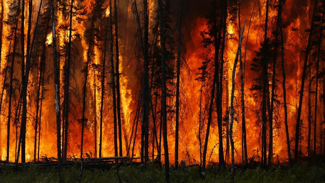 Wildfires Trigger Long-Term Water Contamination
