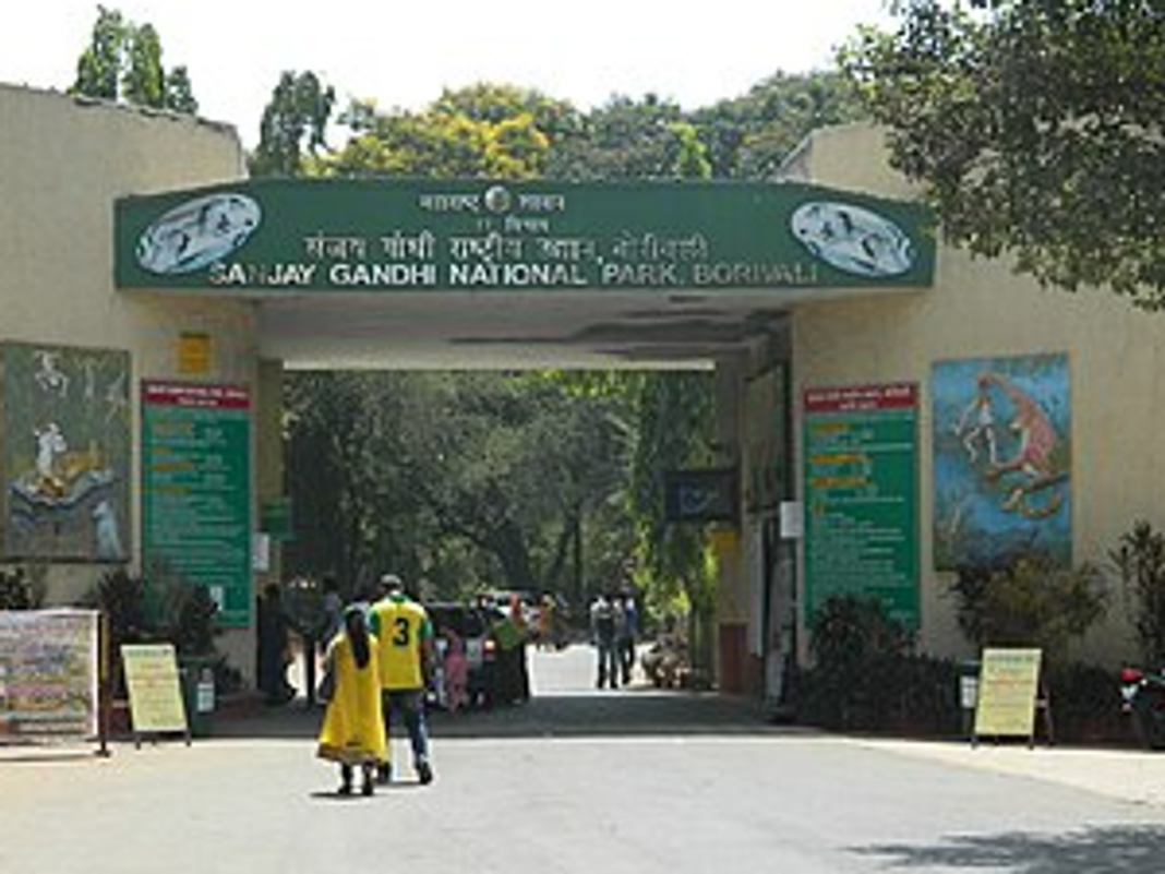 Mumbai Allocates 19 Hectare Sanjay Gandhi Forest Land To BMC Twin Tunnel Plan