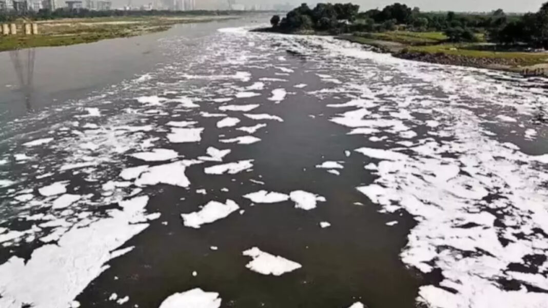 Delhi river tests show 92 lakh pollution units despite July rainfall