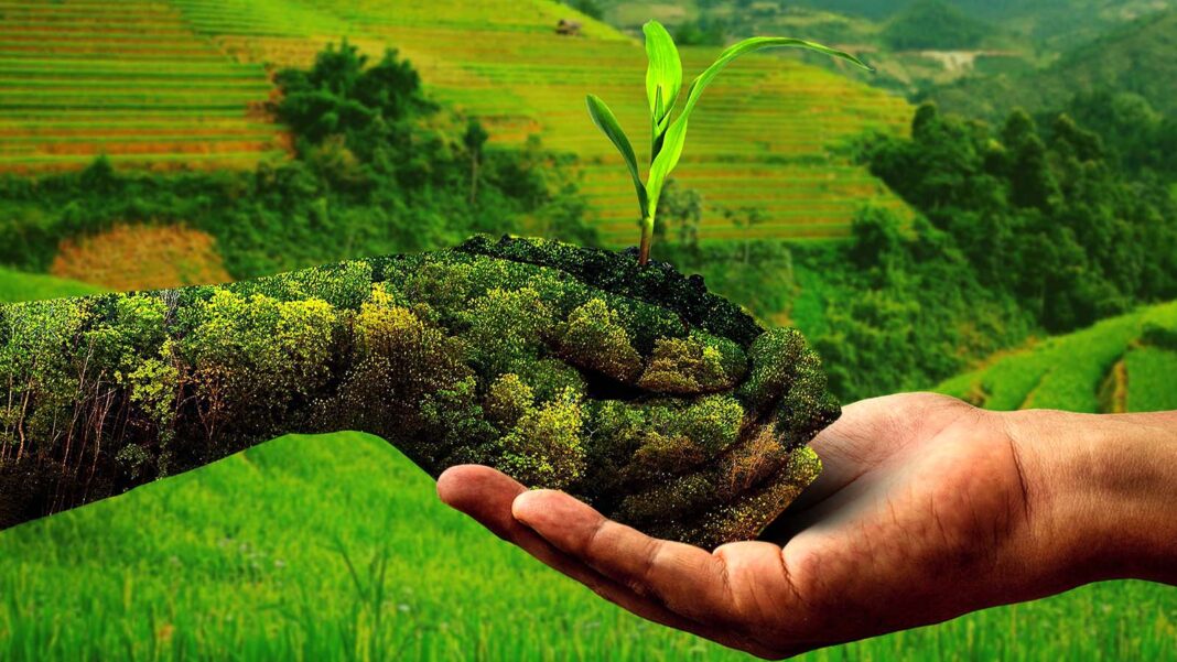 Surat Natural Farming Entrepreneur Inspires Rural Livelihood Shift