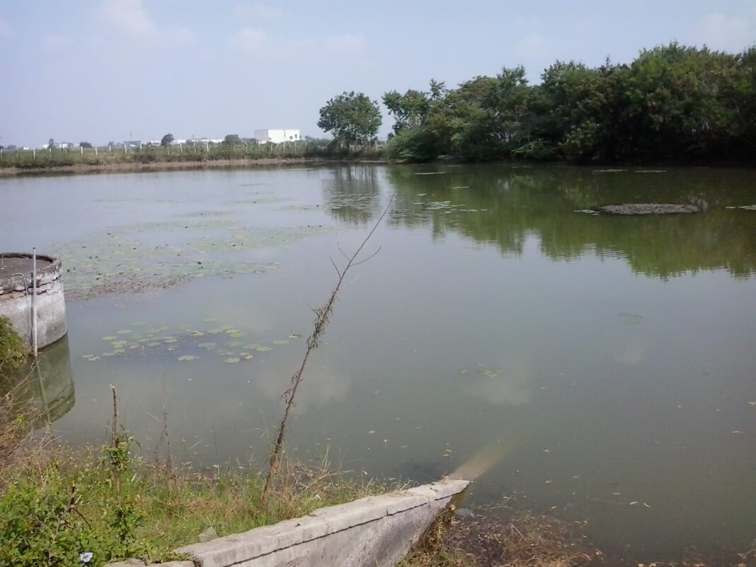 Hyderabad’s Asanikunta Lake Clinically Dead After Months of Extreme Pollution