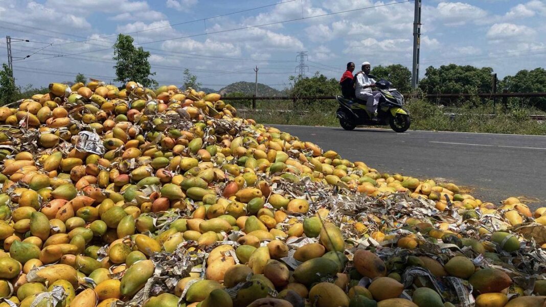 Chittoor Villages Embrace Super Six Welfare, Mango Support And Power Boosts