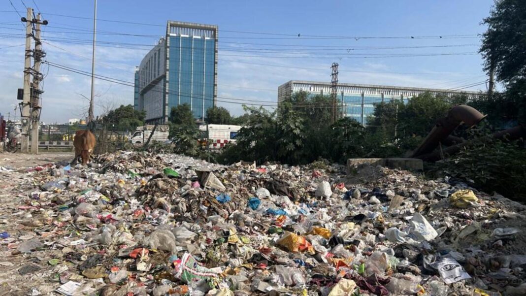 Pune Residents Face Daily Struggles Due To Unattended Garden Waste Piles