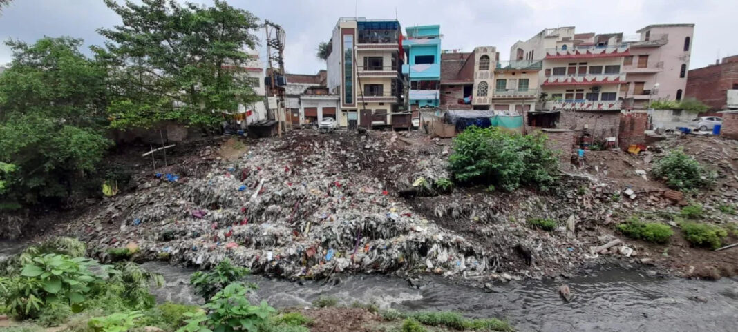 Calangute Residents Demand Transparency in Road Expansion Plans Amid Tree Removal Concerns