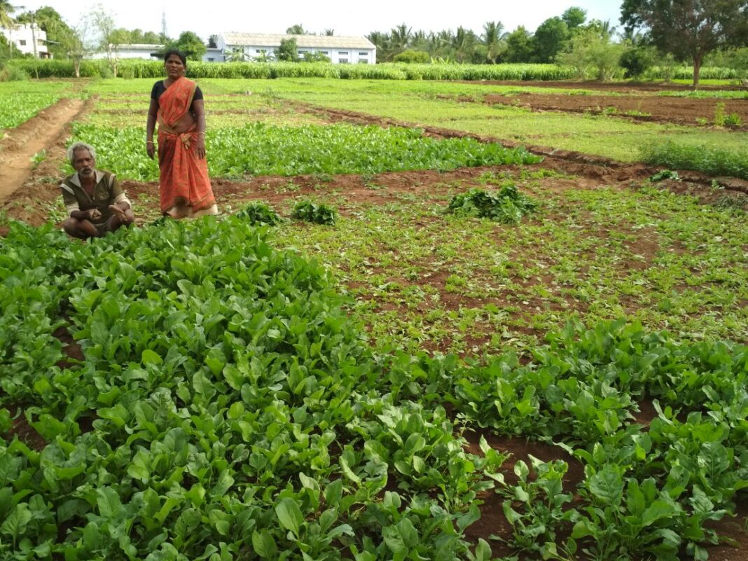 Coimbatore seminar spotlights farm waterbody deterioration affecting agriculture livelihoods