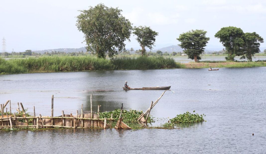 Nuvem Farmers Compensated For Protecting Fields From Saline Water Intrusion