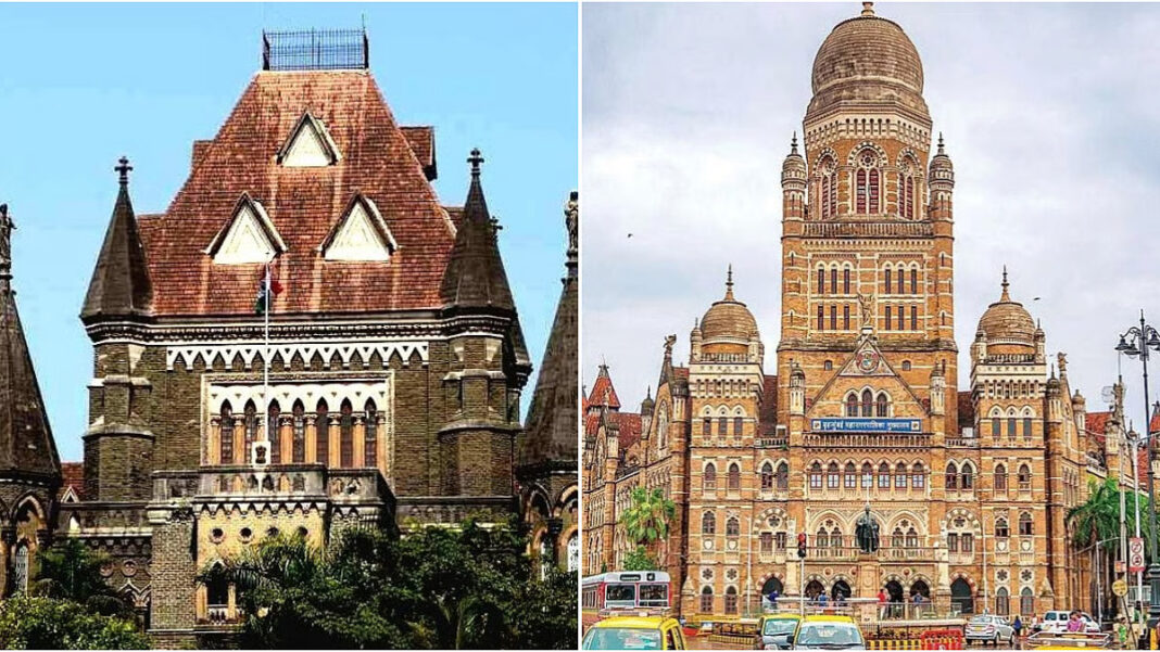 Mumbai High Court Seeks BMC Response Over Delayed Pet Crematorium Projects