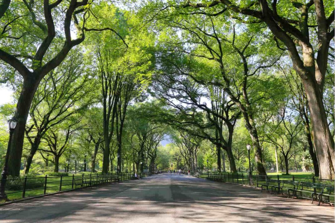 Green Spaces in Delhi Not Ready for Rising Heat Levels