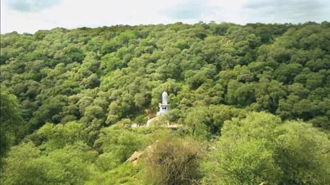 Gujarat Sees Major Tree Cover Rise Outside Forest Zones