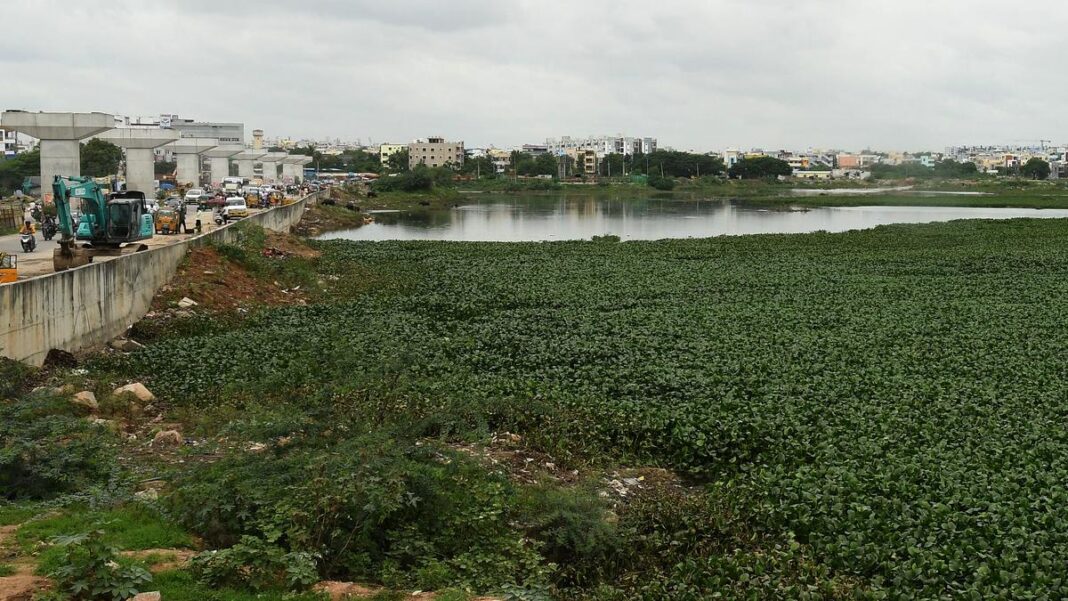 Hyderabad Citizens Alarmed as Gachibowli Lakes Bury Under Immersion Debris, Odor Rises