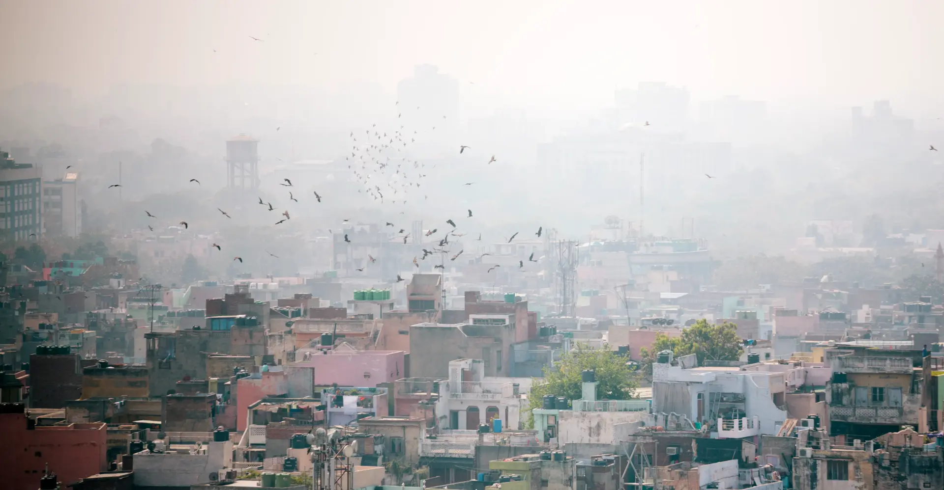 Indias major cities confront persistent air pollution demanding urgent action