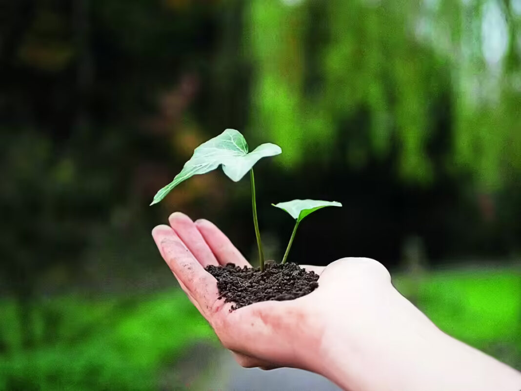 Indore Plans 20,000 Saplings Drive at Reoti Range on July 12