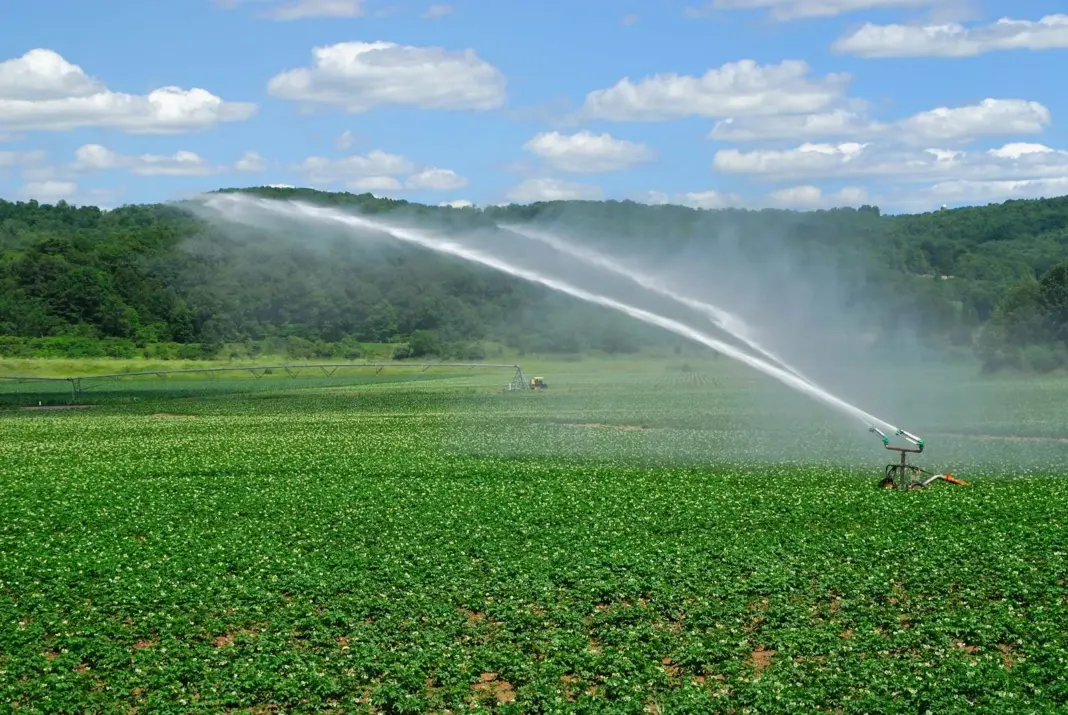 Vidarbha Irrigation Projects Delay Affects Regional Development