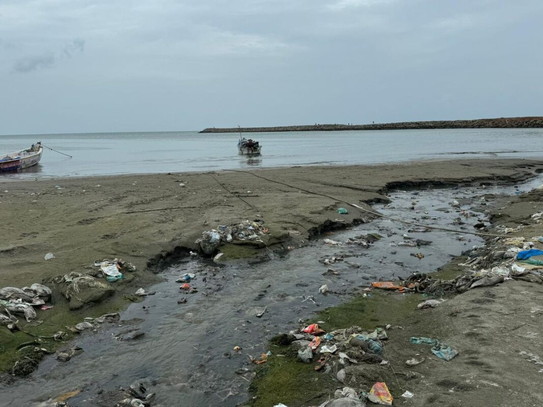 Mumbai Tribunal Cracks Down on Konkan Towns for Marine Sewage Pollution