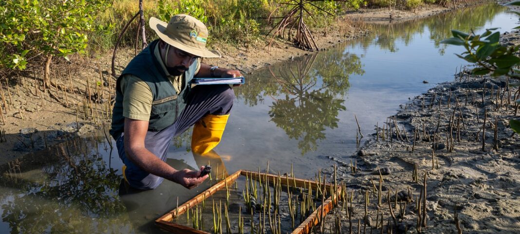 KMC to boost pond infrastructure linking ecology with sustainable tourism