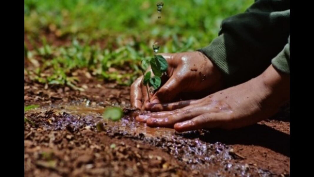 Lucknow Plants 2.14 Crore Saplings Along 82 Rivers, Revives Ecosystems