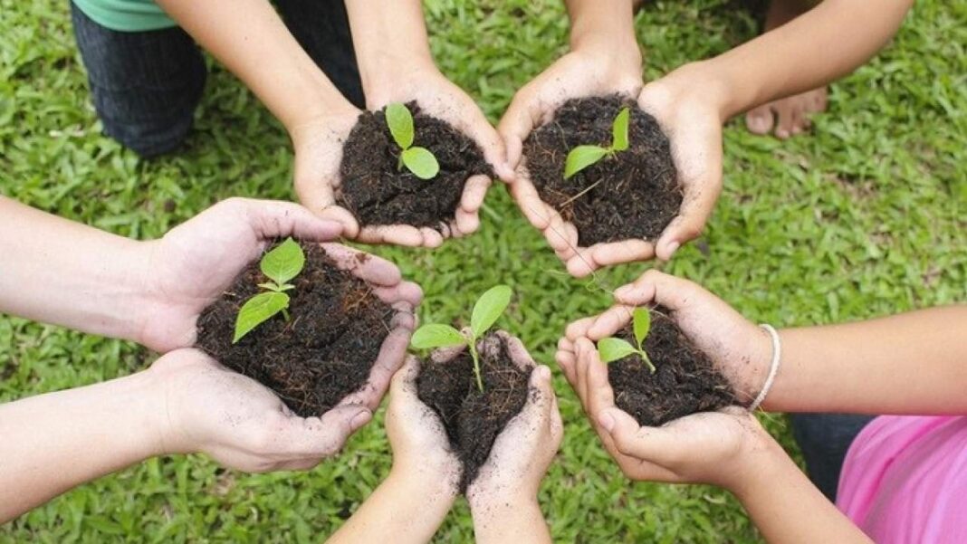 Ludhiana Launches Monsoon Tree Campaign With Saplings From 14 Nurseries