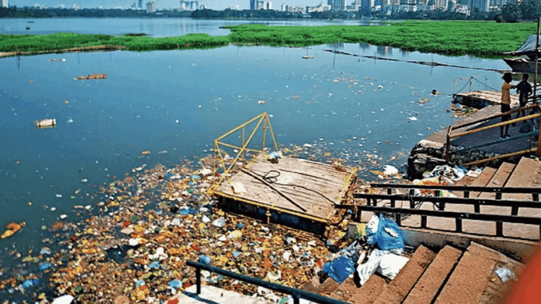 Mumbai Environmentalists Warn Against Ganesh Immersions in Highly Polluted Powai Lake