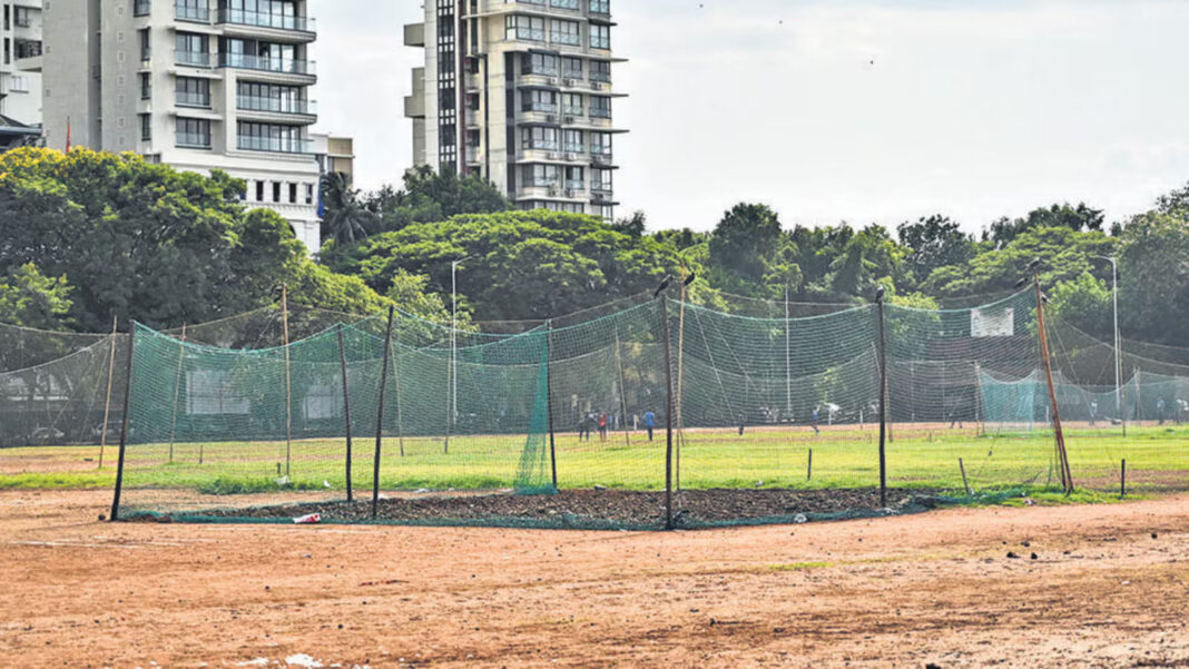 Mumbai BMC Grows Grass at Shivaji Park to Curb Red Soil Pollution