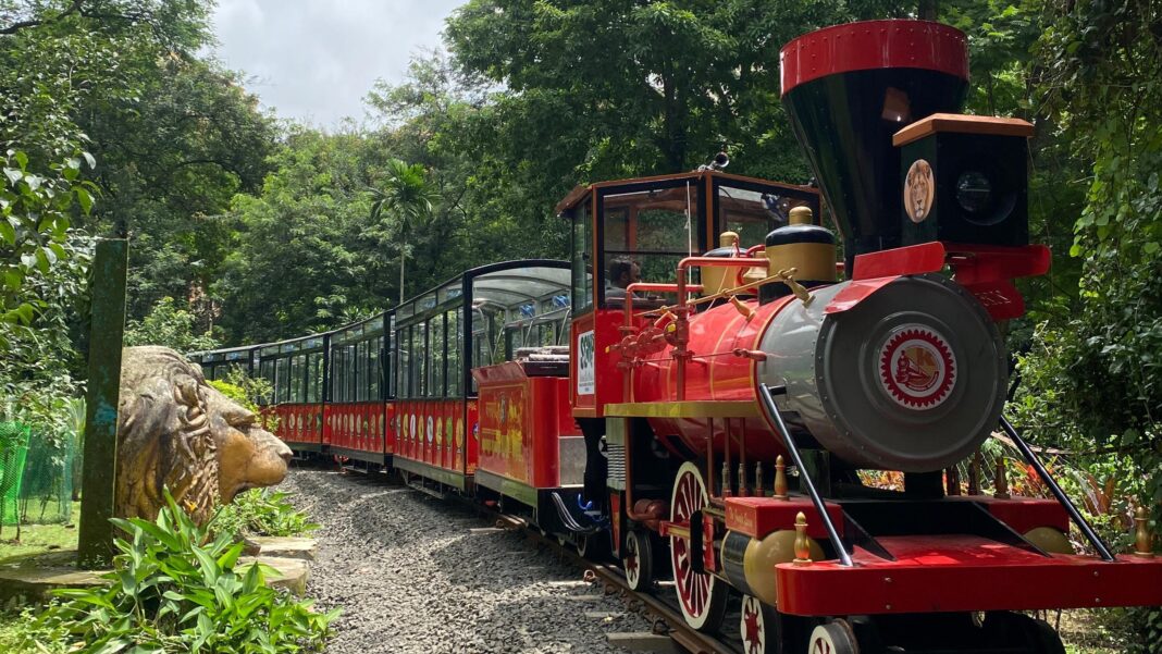 Mumbai Van Rani Toy Train Resumes With Battery Vistadome At National Park