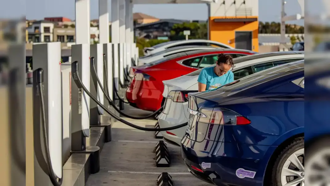 Mumbai hosts IVCA Renewable Energy Summit to boost green capital