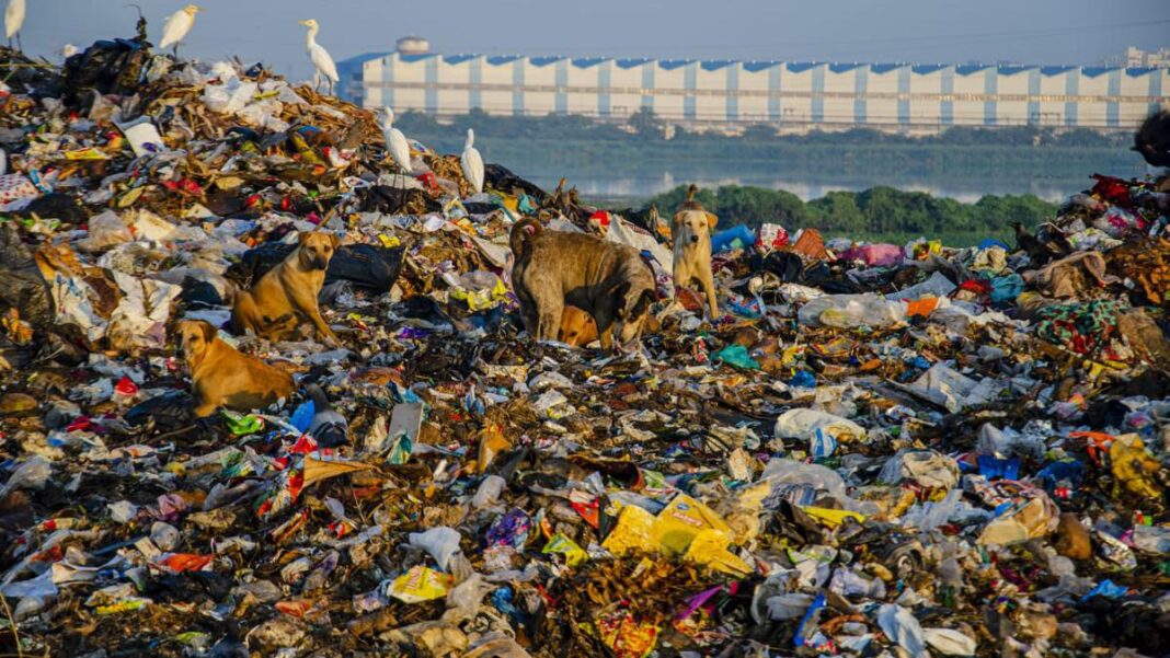 NGT issues notices over Southeast Delhi garbage crisis disrupting public health