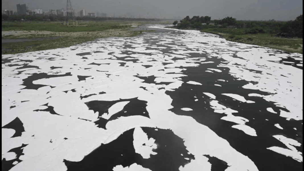 New Delhi Gets Approval for Yamuna Wetlands Conservation and URMP Plan