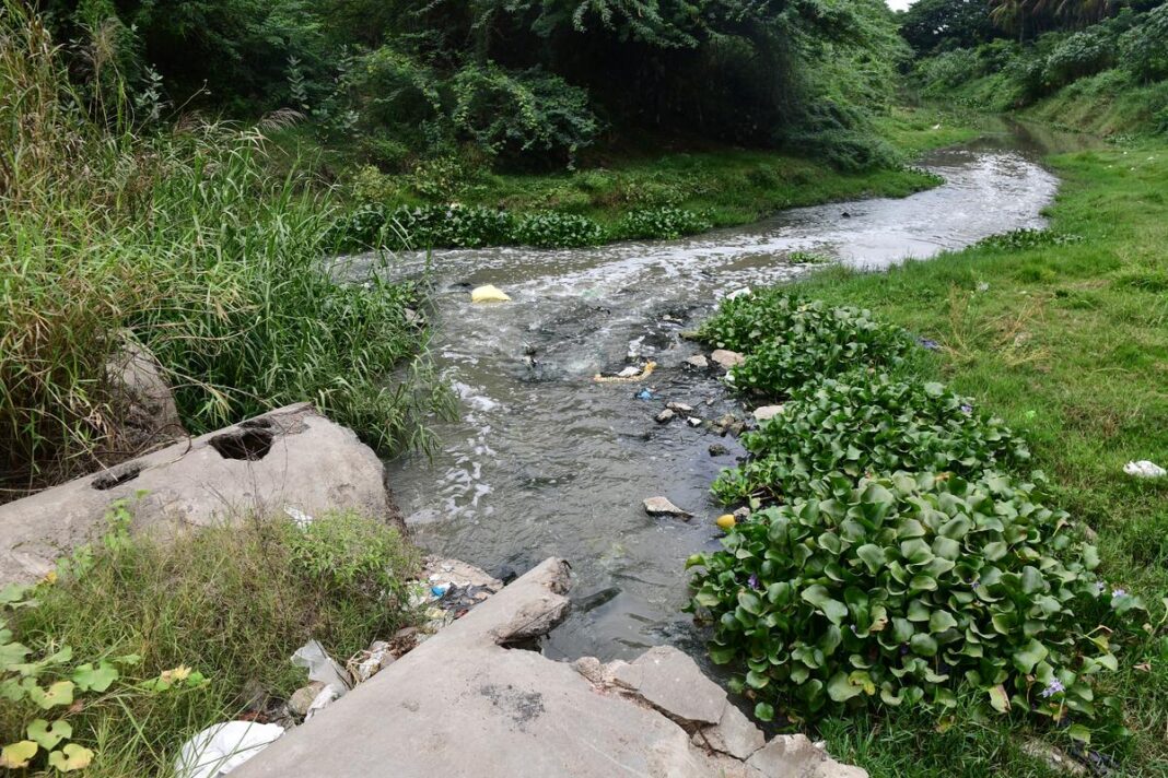 Coimbatore Moves Ahead With Rs 210 Crore Plan To Revive Noyyal River