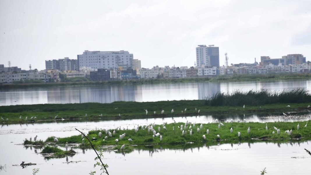 Chennai residents oppose PPP waste projects near Pallikaranai marshland