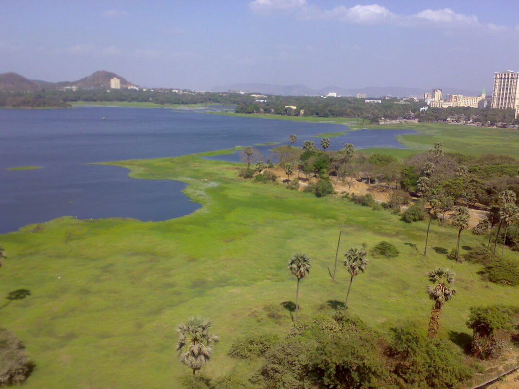 Mumbai Gets Water Boost As Seven Lakes Fill Up To 72%
