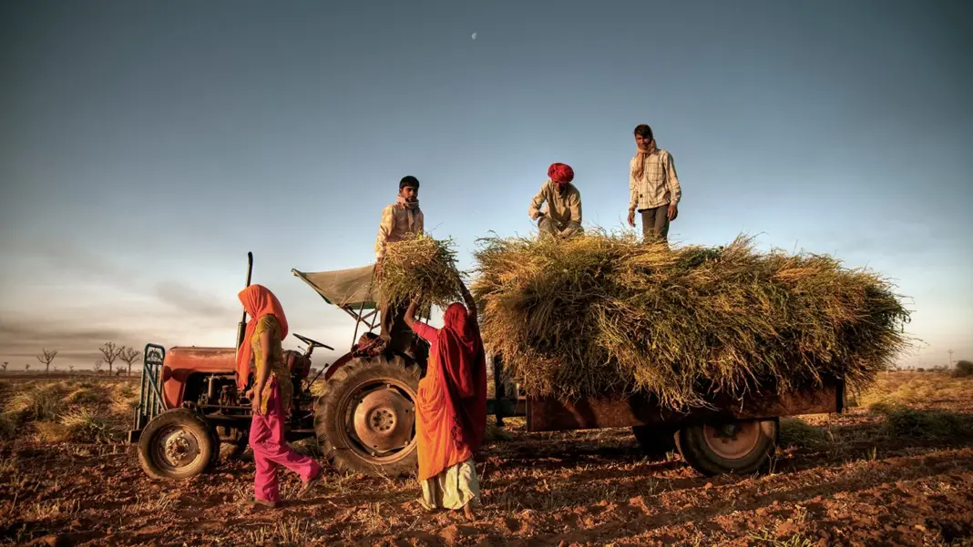 Rural India’s Income Surges Signals Shift to Services-Led Growth