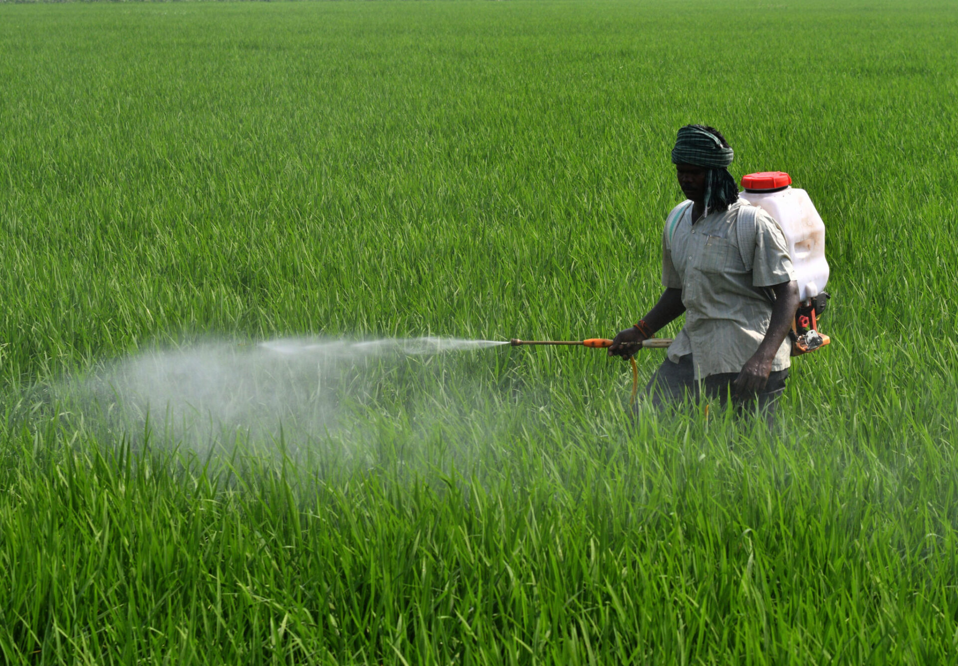 Chandigarh Farmers Urge Canal Release Amid Delayed Godavari Rains And Irrigation Crisis