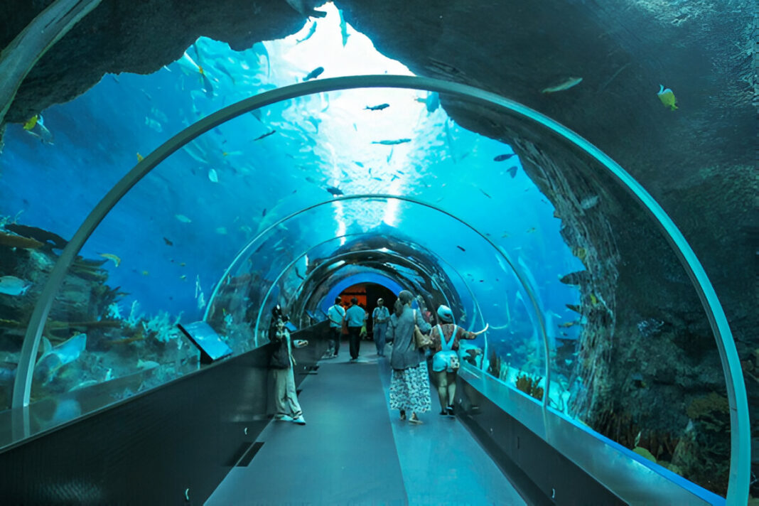 WBHIDCO to auction 166.5‑cottah Alipore land for world‑class aquarium museum