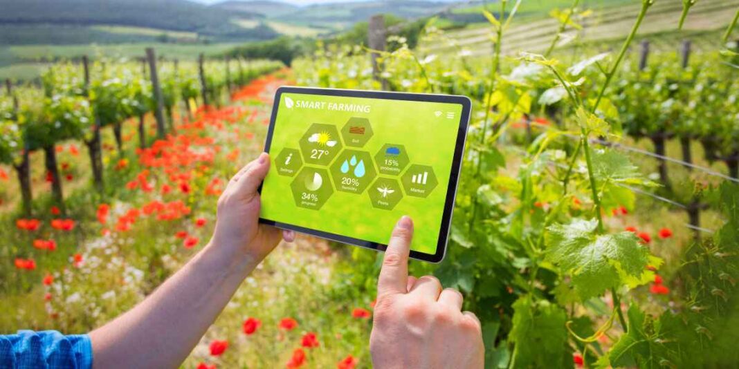 Indore AI Farming Initiative Emerges From IIT Campus
