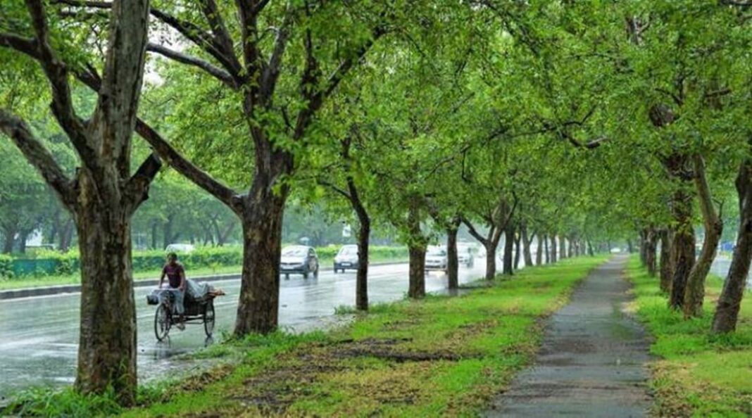 Chandigarh Plants 1.17 Lakh Trees In Single-Day Environmental Drive