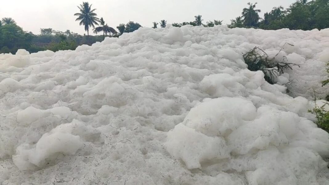Karnataka Directed By NGT To Address Thenpennai River Pollution