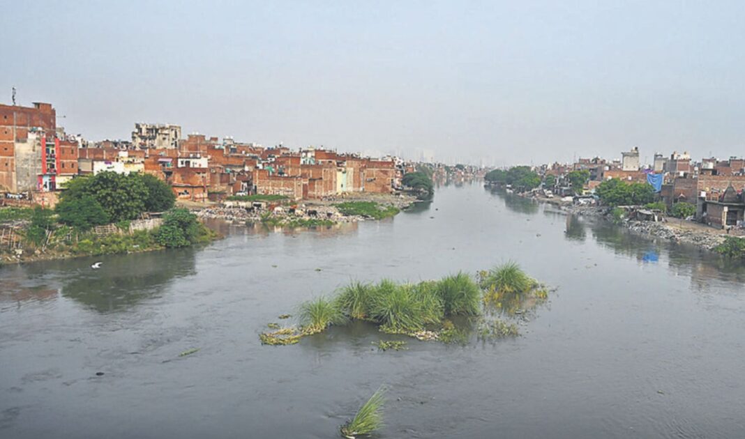 Greater Noida West Revitalizes Extinct Water Body into Green Lung