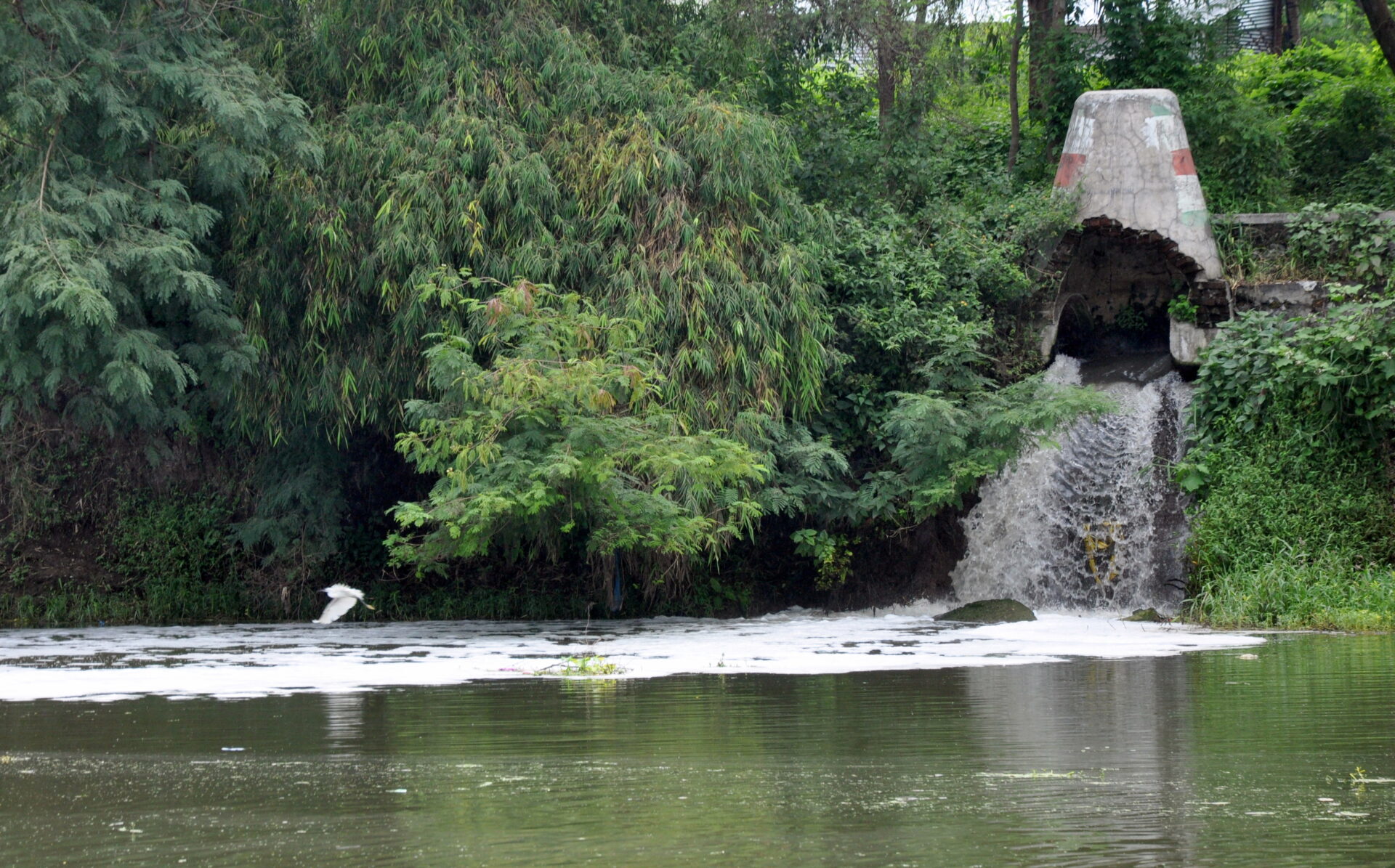 Nashik Begins Rs 1,475 Crore Godavari River Purification With STPs, New Sewer Infra